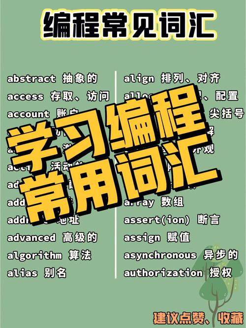 什么大学设有编程