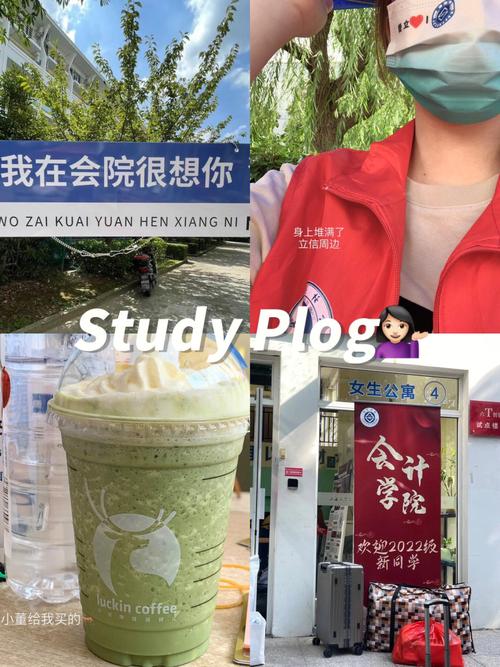 学院迎新服务是什么