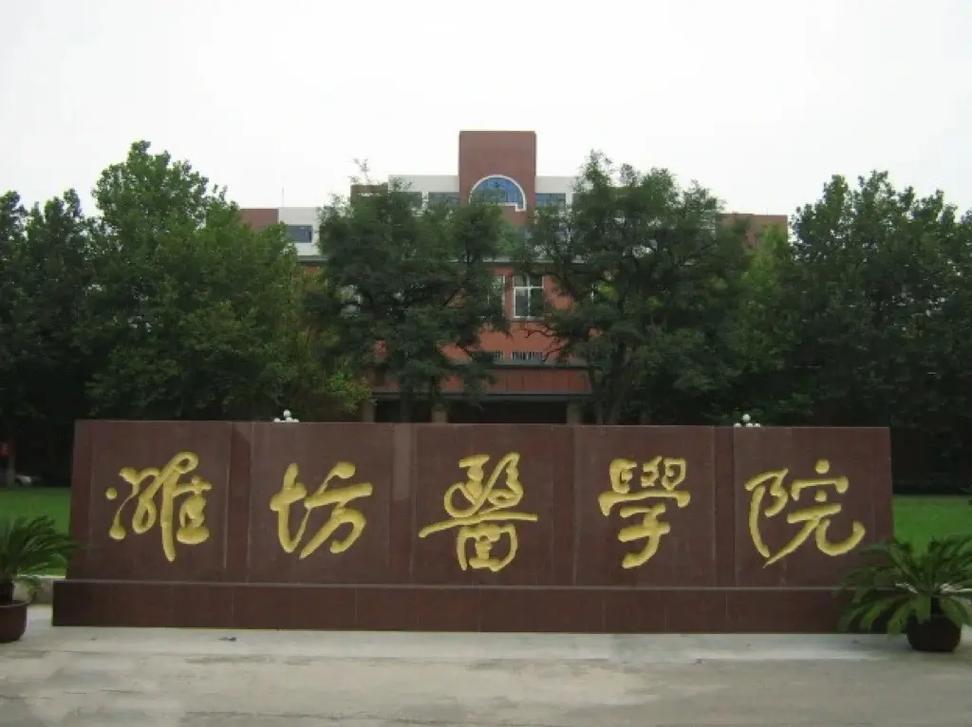 山东潍坊什么大学