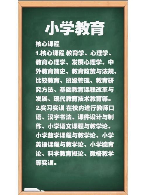 小学教育专业能教什么