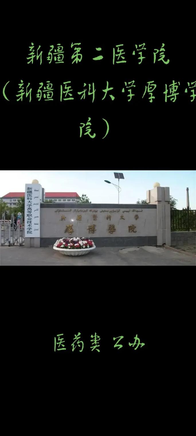 新疆有什么医学学校