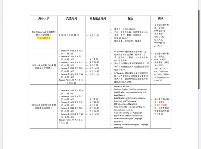 saf交流项目怎么样