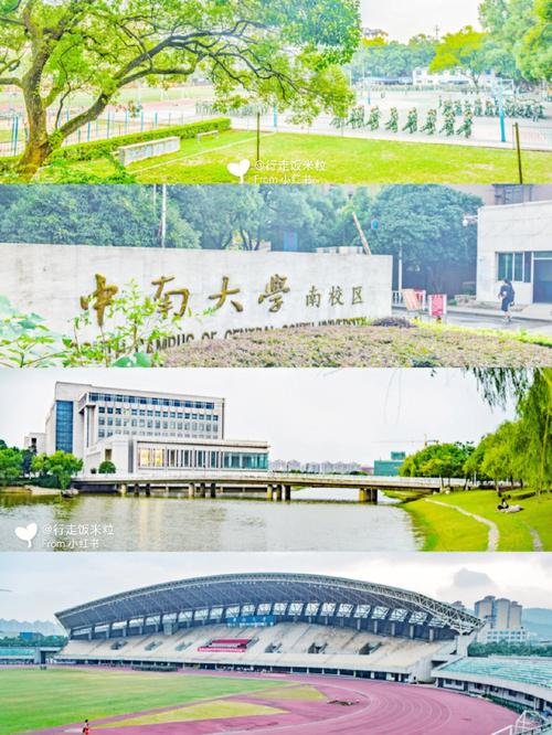 大学是什么年华