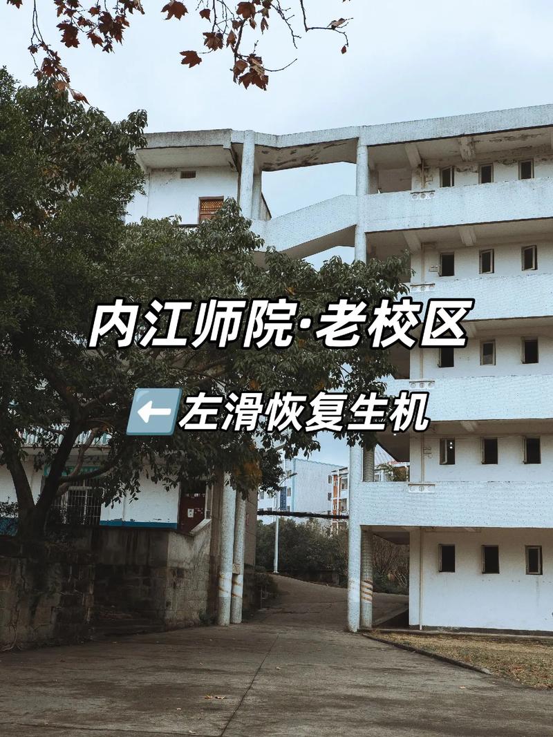 师院有什么院