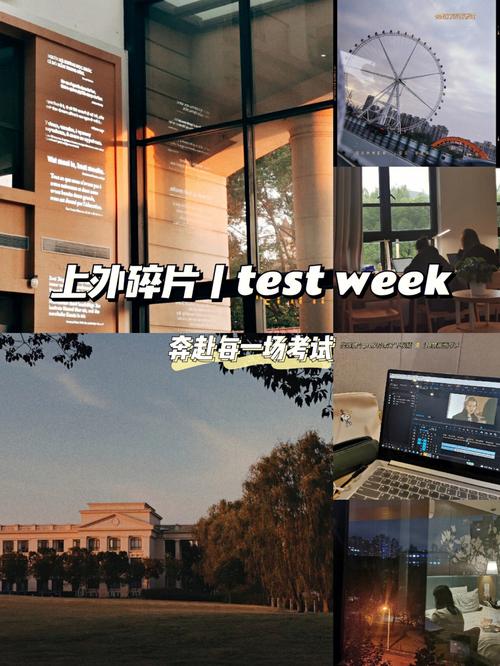 itest大学是什么