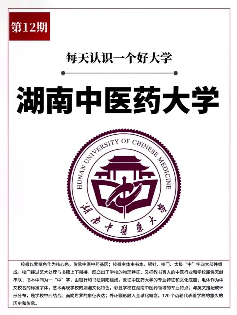 中医药大学什么好