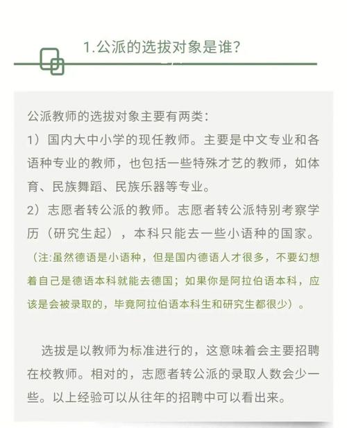 公派老师需要什么条件