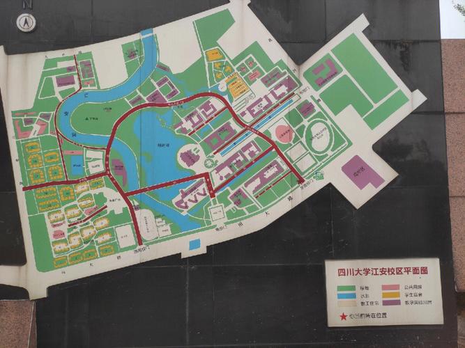 四川大学校园网怎么用