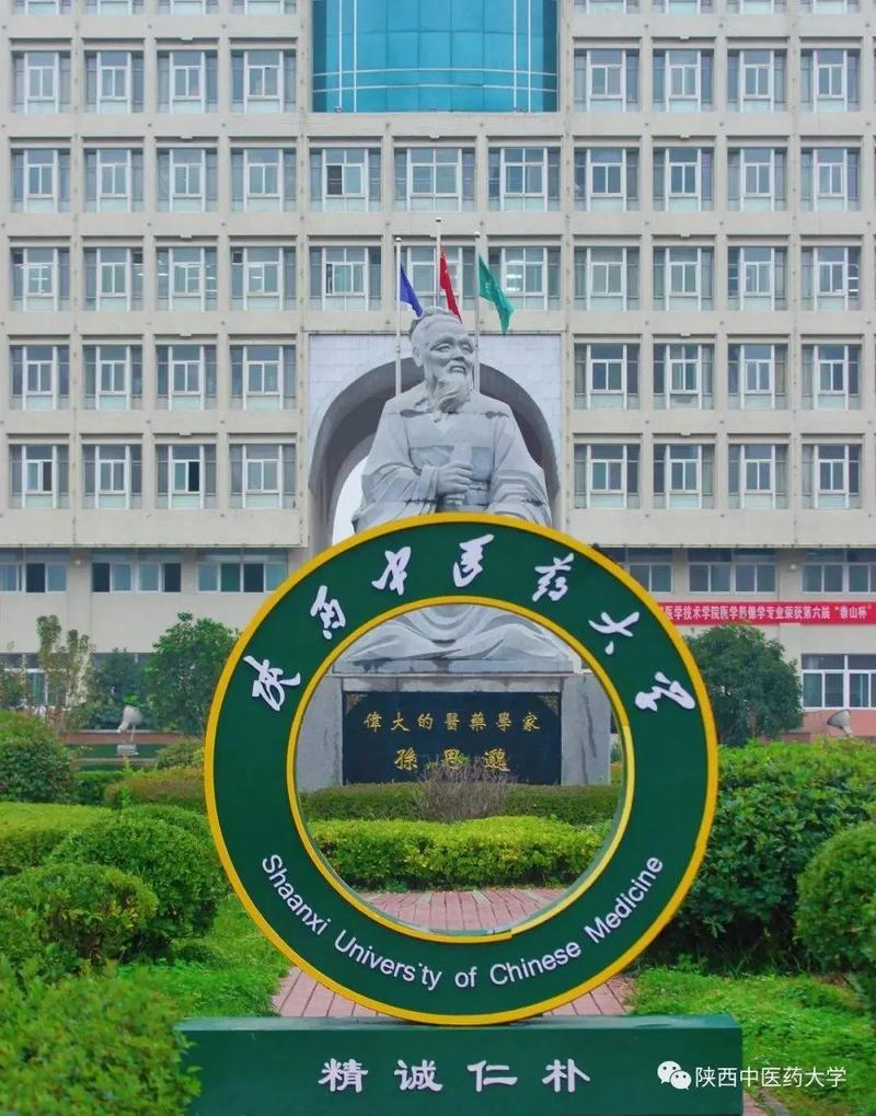 中医药大学什么区