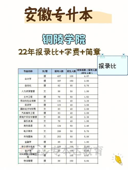 铜陵学院什么专业强