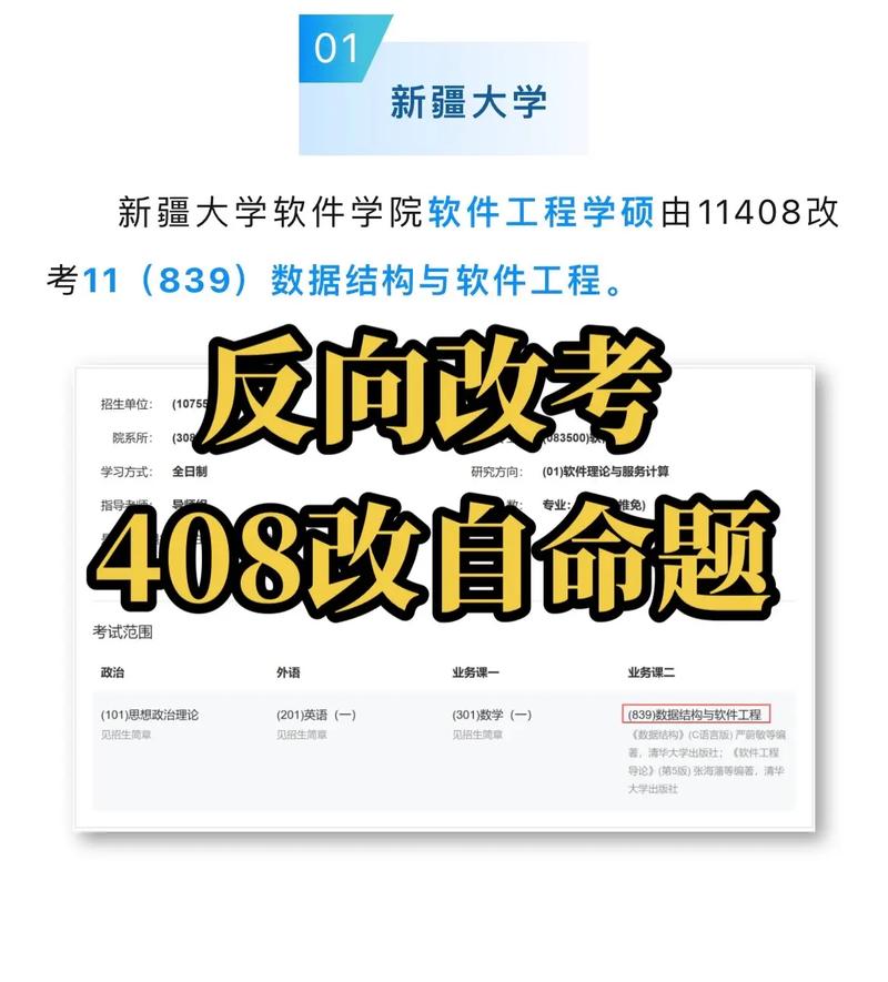 新疆408能上什么学校