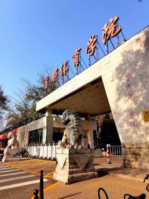 大学体育什么学院