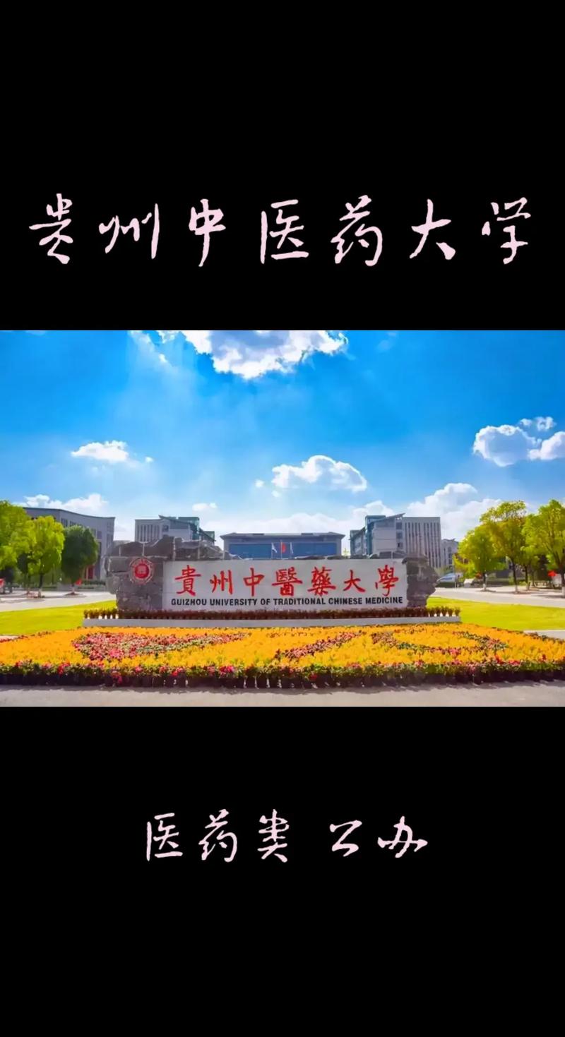 贵州有什么医药大学