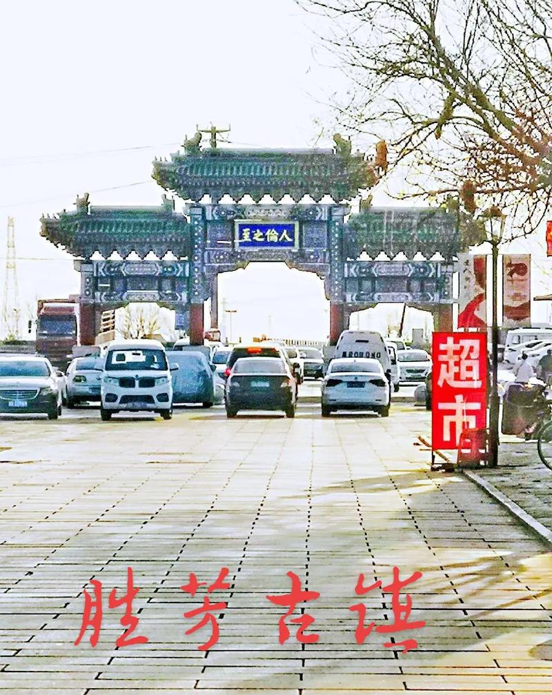 河北霸州有什么大学