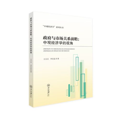 中观视角什么意思