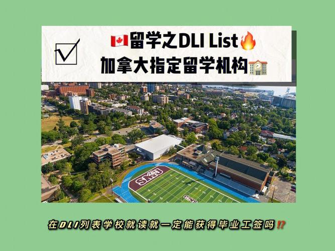 dli学院是什么