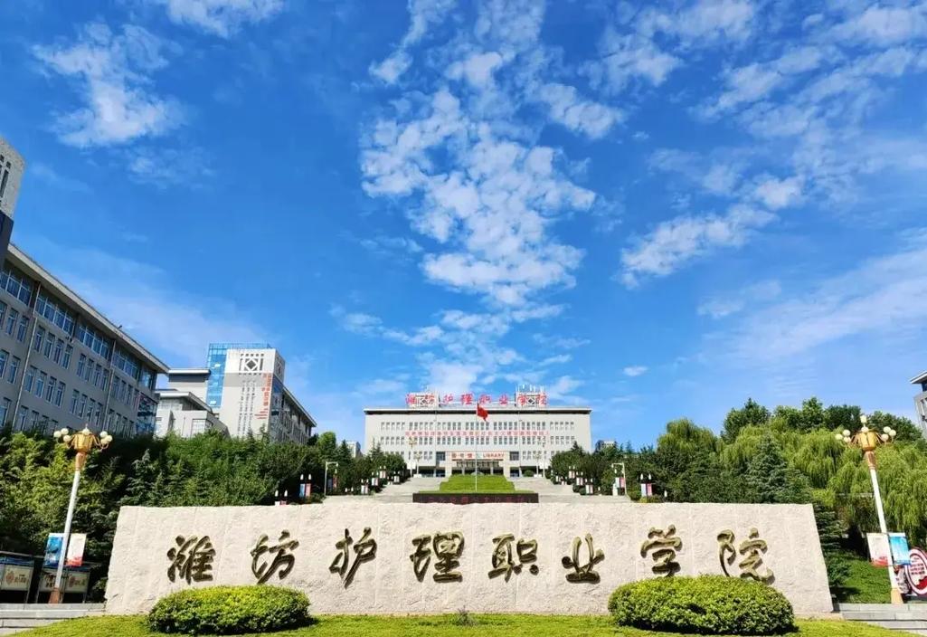 潍坊职业学院什么大学