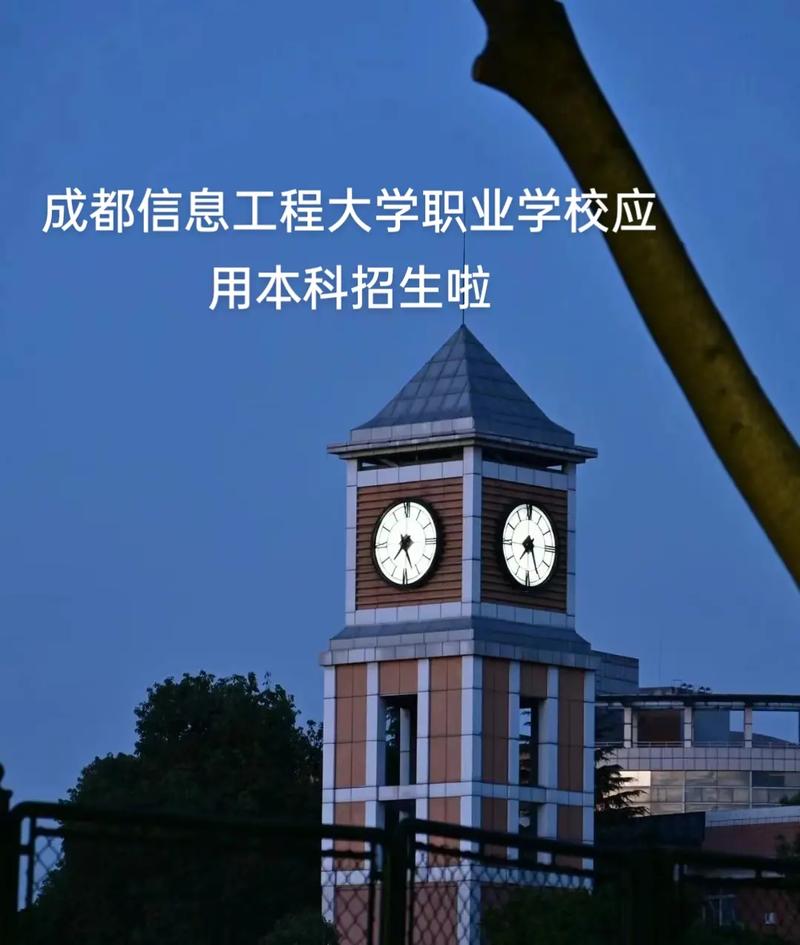 什么叫本科职业大学