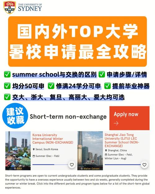 summer school怎么申请