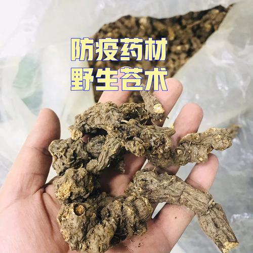 苍术熏蒸有什么用