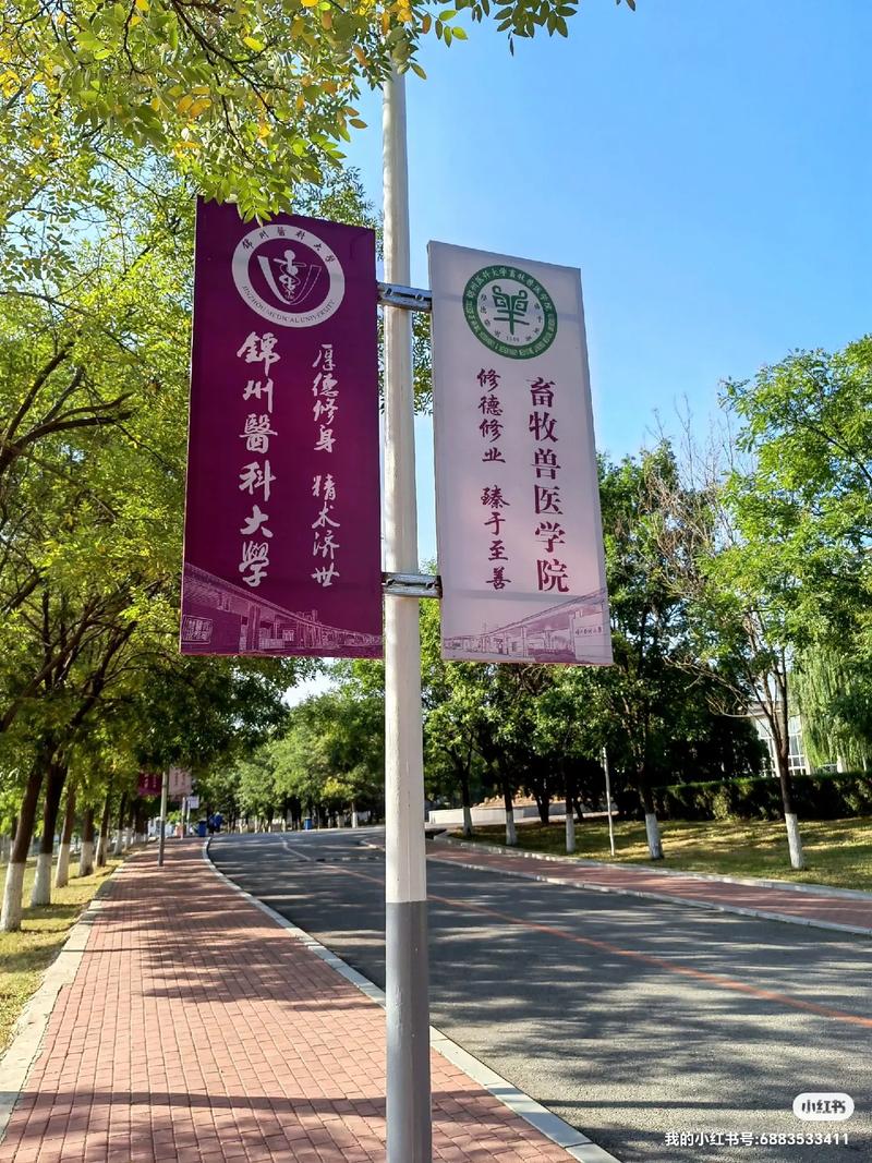 锦州医科大什么学院