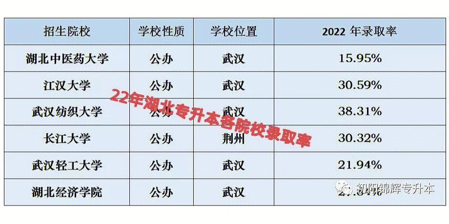 460分读什么大学湖北