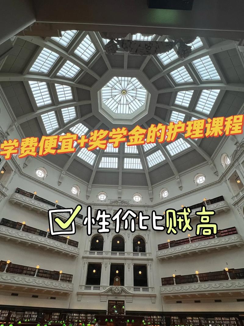 护理可以得什么奖学金