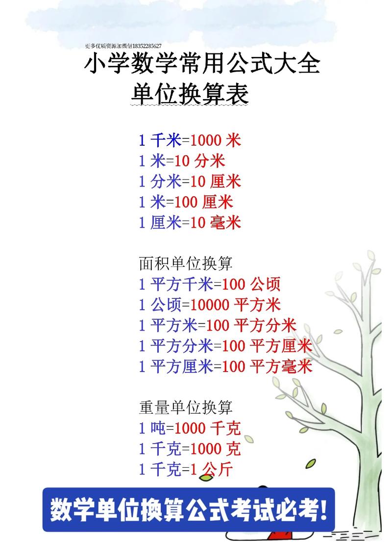 数学中心是什么单位