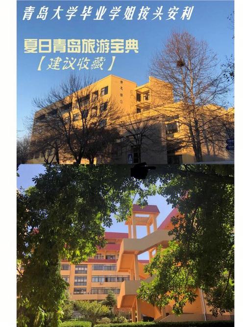 青岛大学怎么去