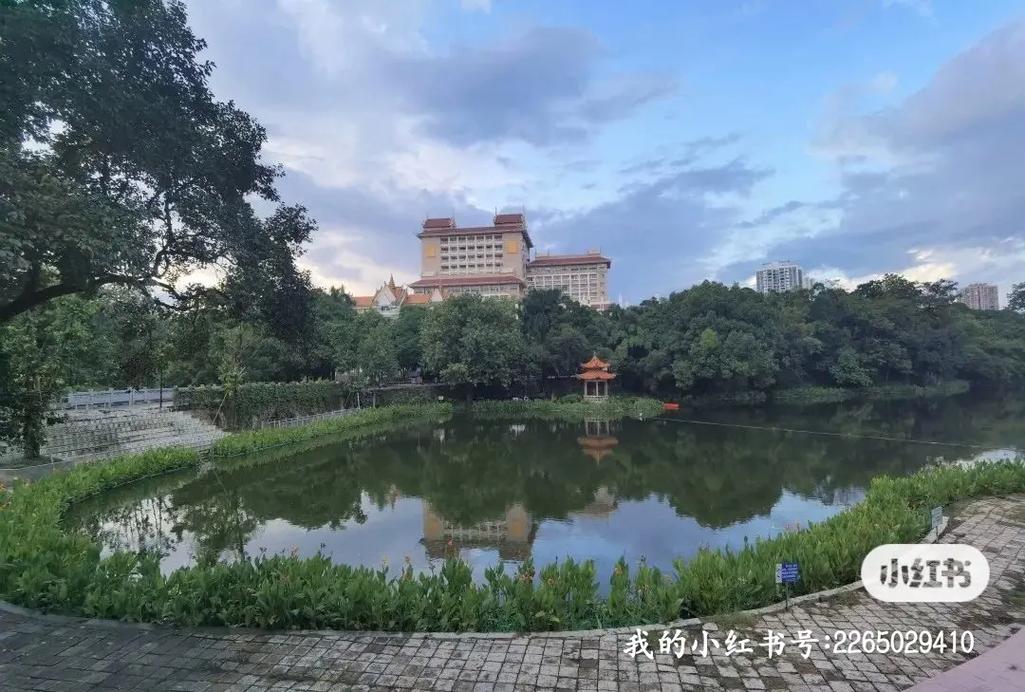 广西有个什么湖大学