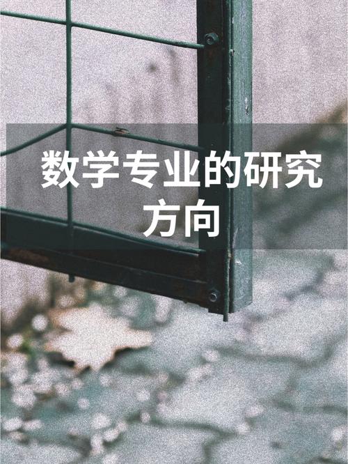 数学系怎么定研究方向