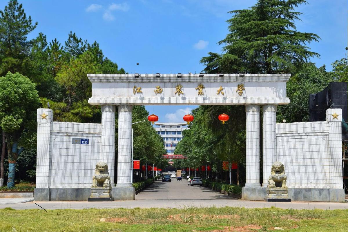 江农大学是什么大学