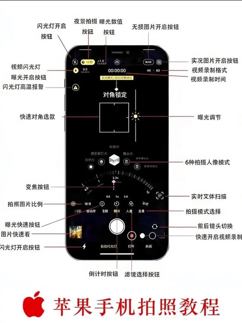 电子照成像区怎么调