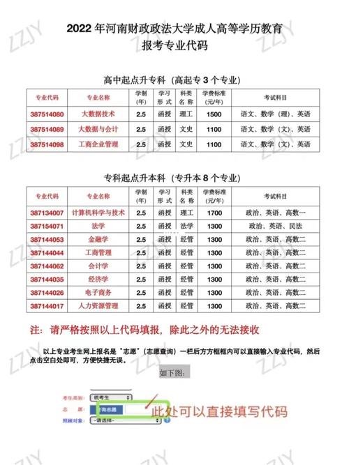 河南考生大学专业怎么查询