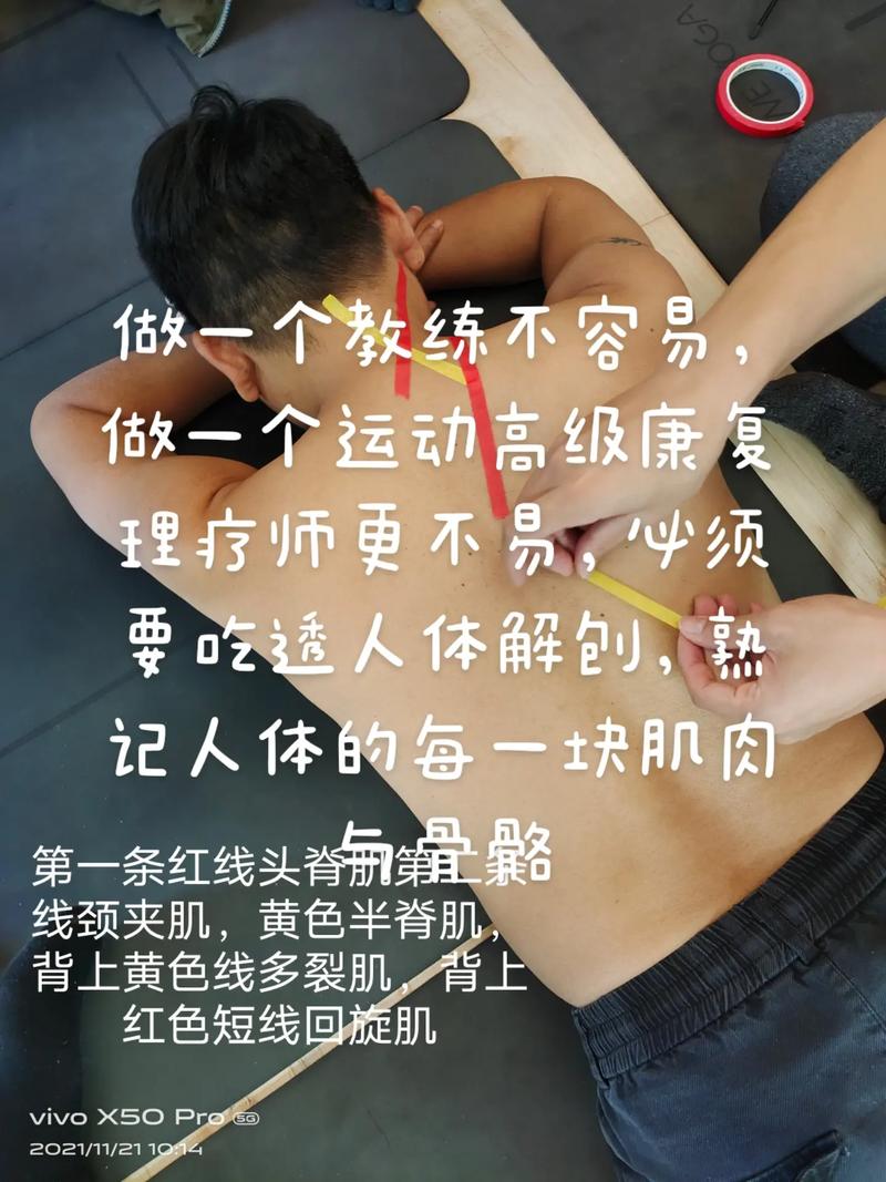 康复治疗主要学什么作用