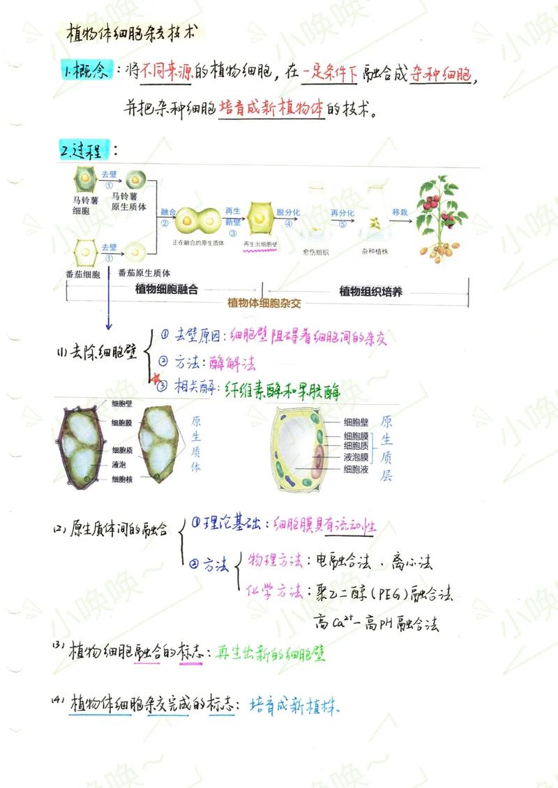 生物工程有哪些技术