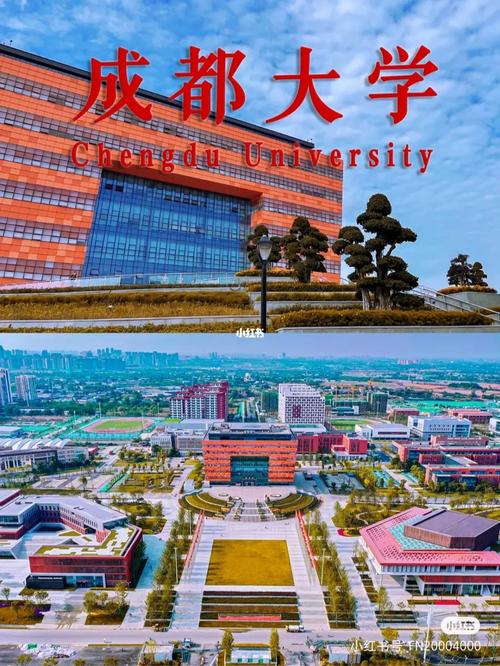 成都哪些是综合性大学