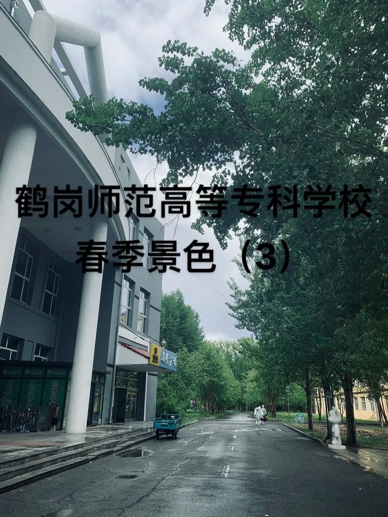 鹤岗师范学院都有什么专业