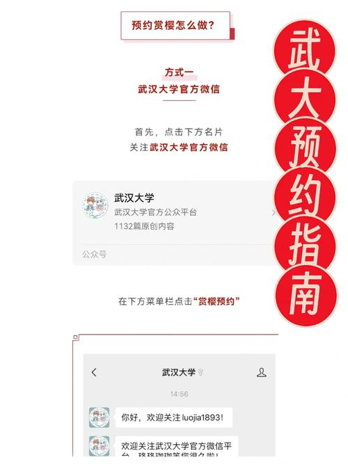 武汉大学app怎么登