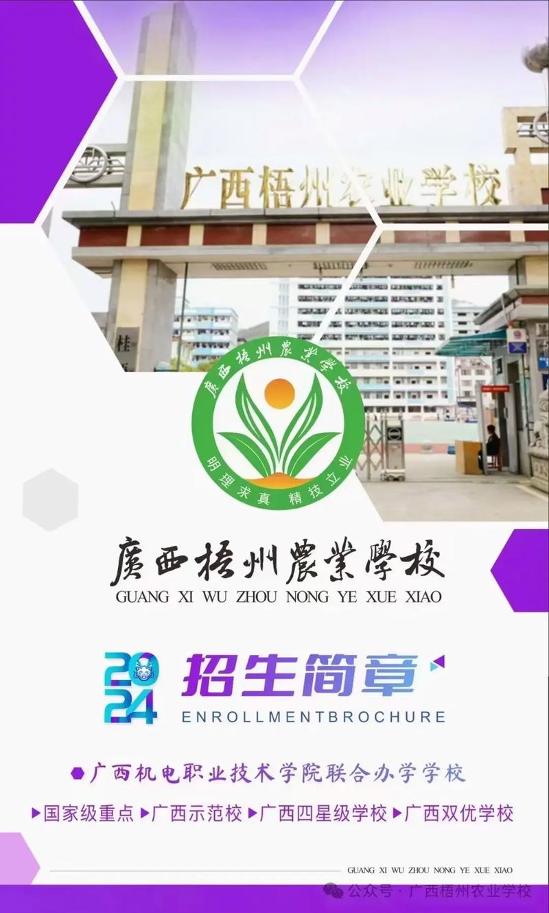 广西梧州有怎么好的大学