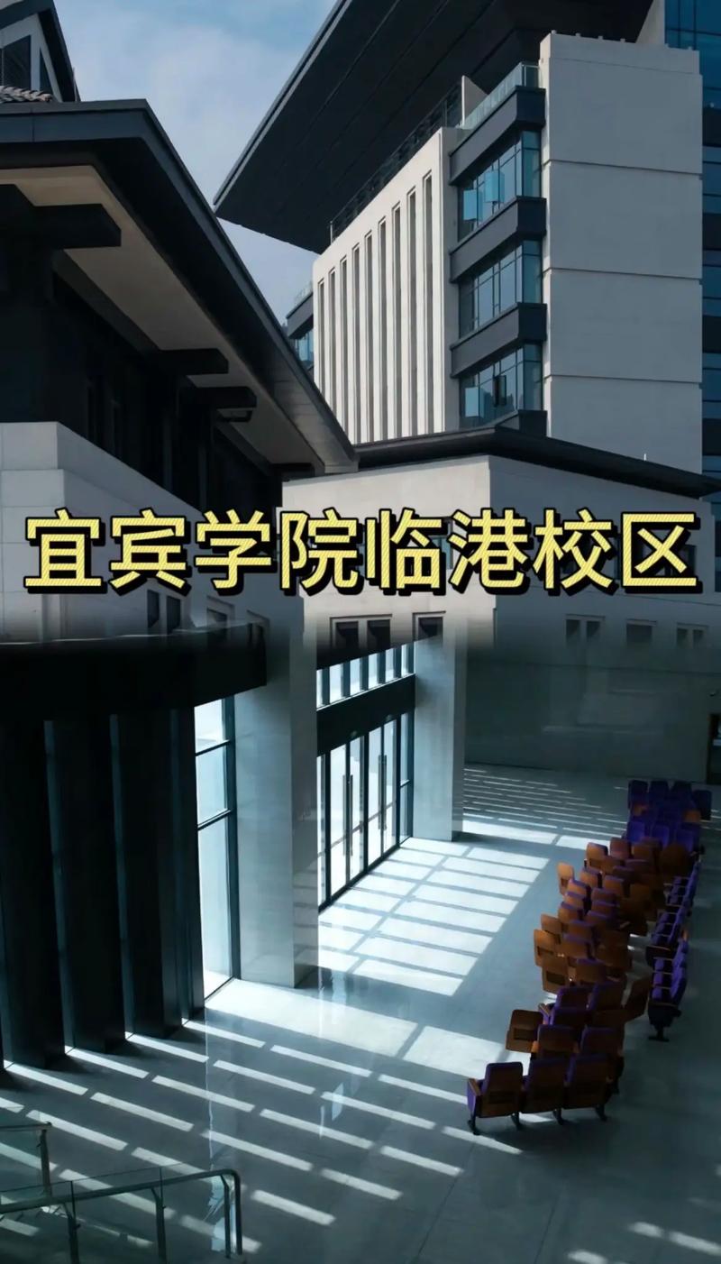 宜宾有哪些公办学院