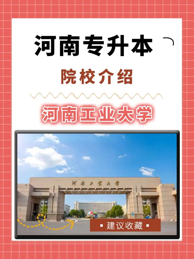 河南哪些城市有大学