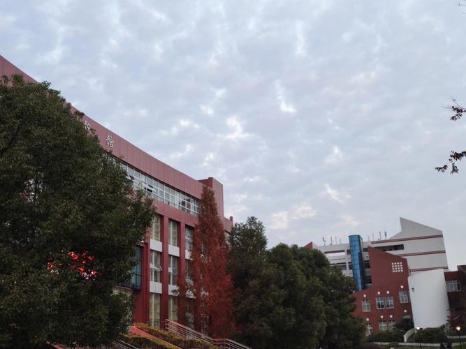 特殊师范大学有哪些