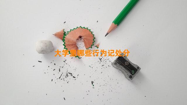 大学里哪些行为记处分