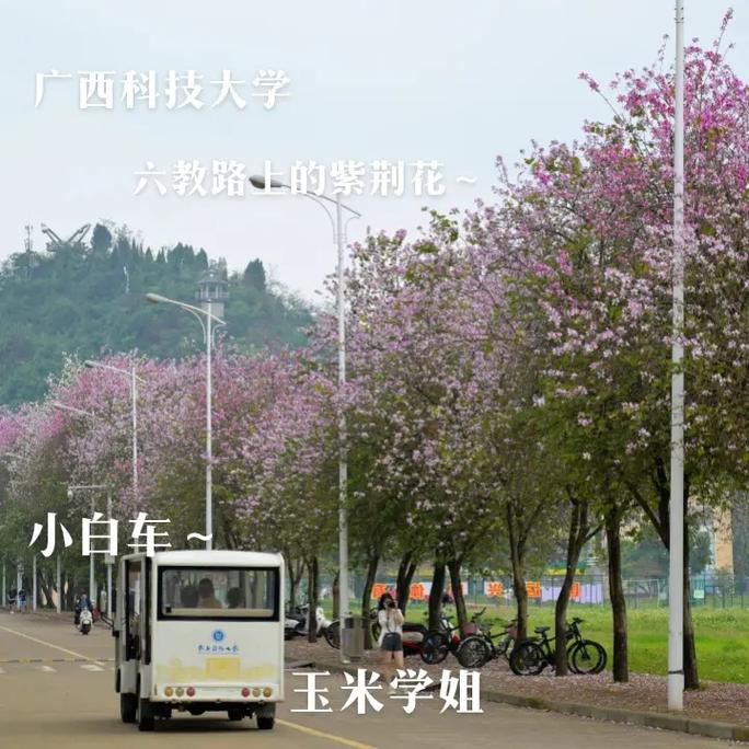 文昌大学有哪些