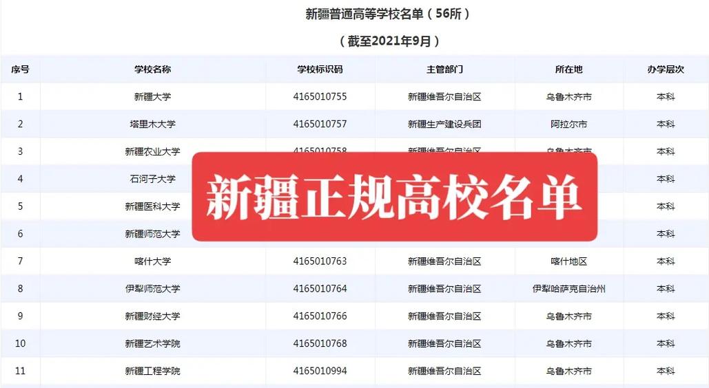 新疆学院大学本科有哪些