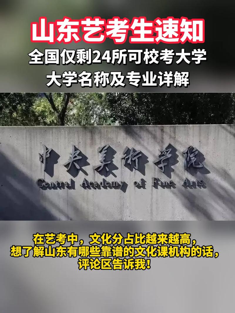 山东有哪些艺考大学