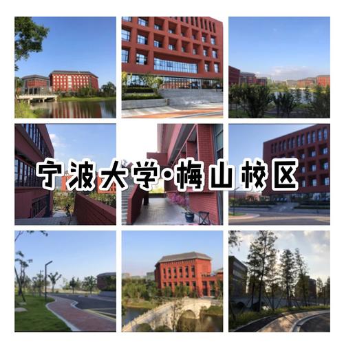 梅山大学专业有哪些