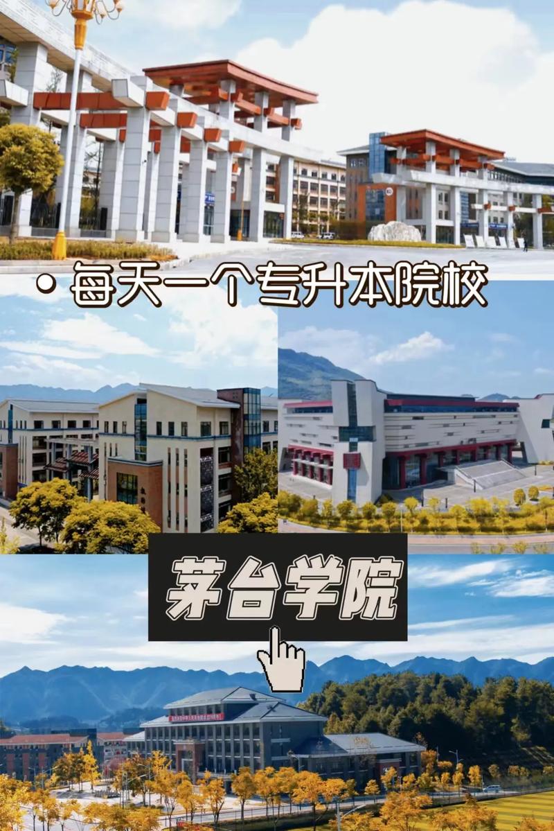 怎么可以上茅台学院