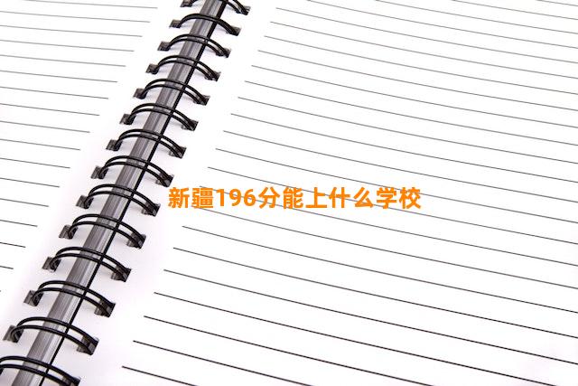 新疆196分能上什么学校